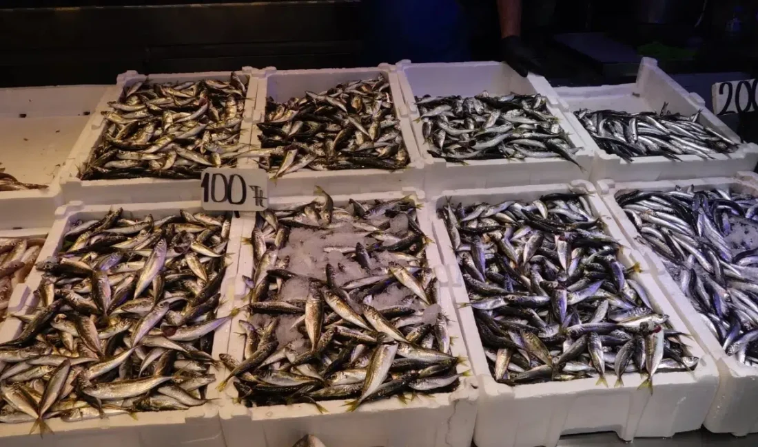 Denizlerde 15 Nisan itibarıyla başlayacak olan genel av yasağına çok