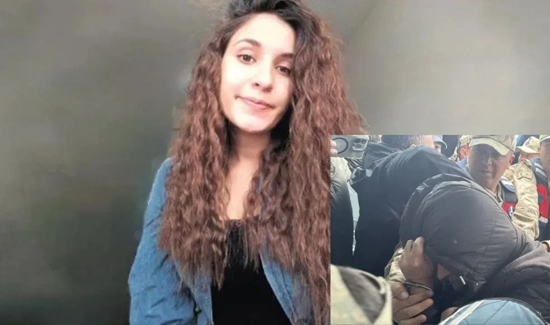 Tunceli’de kaybolan Gülistan Doku soruşturmasında hastane kayıtlarının “profesyonel ve kasıtlı”