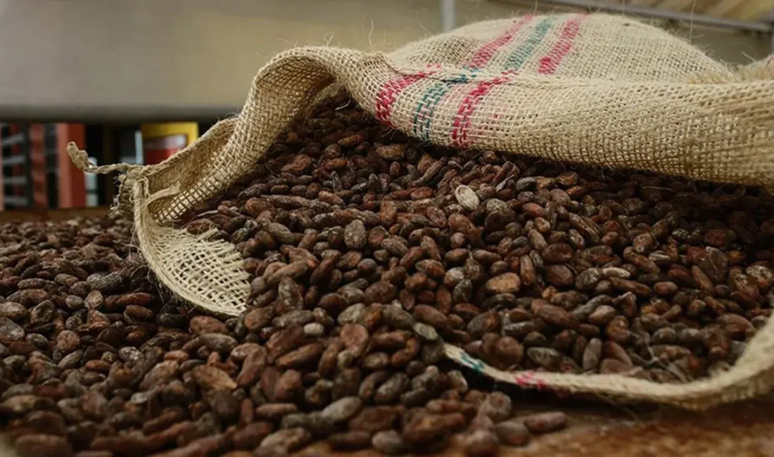 Küresel emtia piyasalarının en hareketli aktörlerinden biri olan kahve fiyatları,