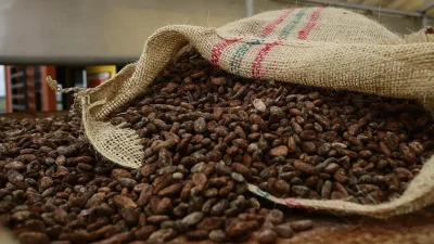 Küresel emtia piyasalarının en hareketli aktörlerinden biri olan kahve fiyatları,