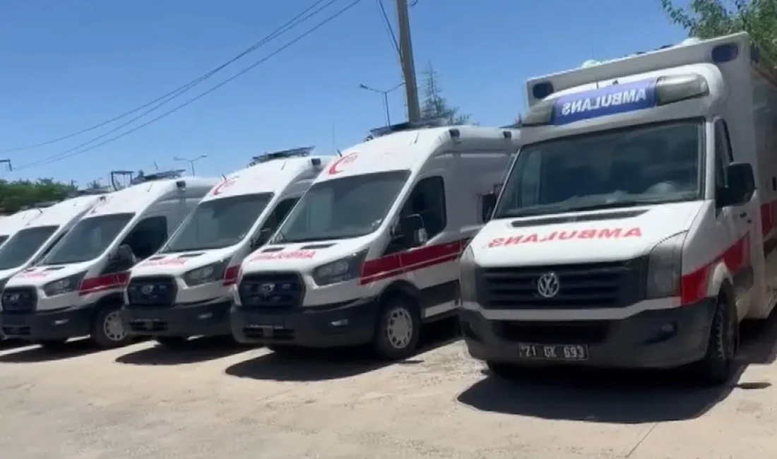 Ünlü oyuncu Ezgi Mola’nın eski eşi işletmeci Mustafa Aksakallı hakkında