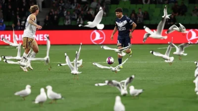 Avustralya A-League’de Melbourne Victory ile Newcastle Jets’i karşı karşıya getiren