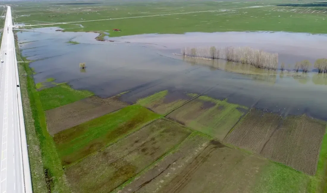 Muş genelinde kış ve bahar aylarında görülen yağış miktarı, bir
