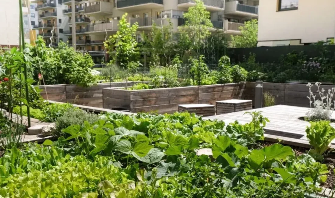 Türkiye genelinde binlerce vatandaşı yakından ilgilendiren hobi bahçeleri tartışmasında yeni