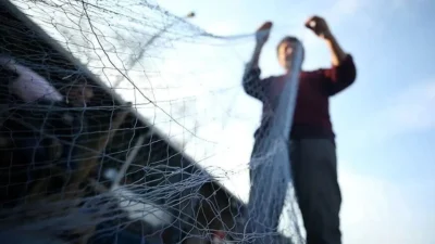 Denizlerdeki canlı popülasyonunu korumak ve sürdürülebilir balıkçılığı desteklemek amacıyla her