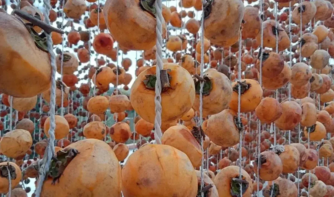 Türkiye’nin Trabzon hurması üretimindeki küresel yükselişi komşu ülke Azerbaycan için