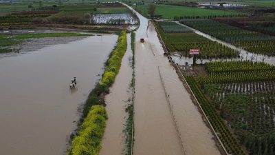 İzmir’in Ödemiş ilçesinde dünden bu yana etkisini sürdüren kuvvetli sağanak