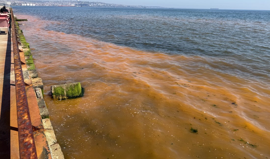 Tekirdağ sahillerinde denizin turuncu rengini gören vatandaşlar büyük bir şaşkınlık