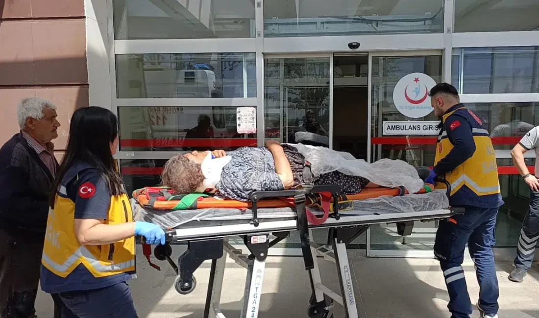 Adıyaman’da tarlaya gitmek üzere yola çıkan sepetli motosiklette yaşananlar dehşete