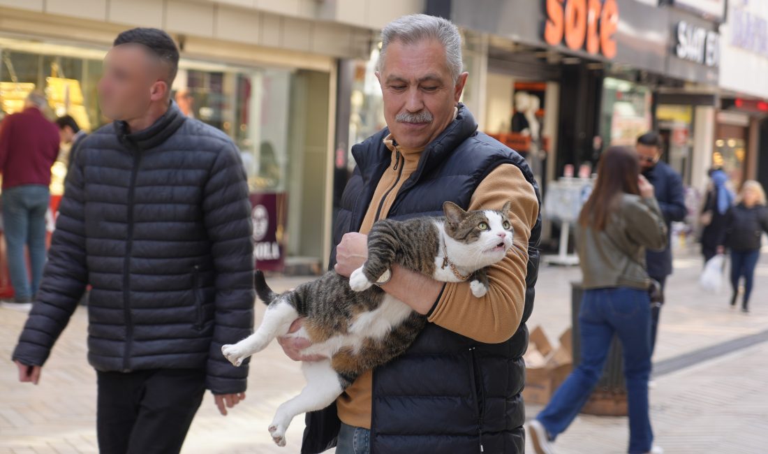 Kocaeli’de yedi yıl önce uğradığı köpek saldırısında ağır yaralanan ve