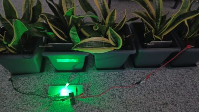 Türkiye’de akademisyen, mühendis ve mimarlardan oluşan bir ekip, saksı bitkilerini