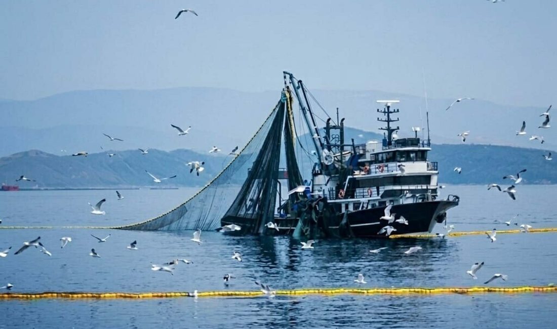Tarım ve Orman Bakanlığı tarafından duyurulan karara göre denizlerde ve