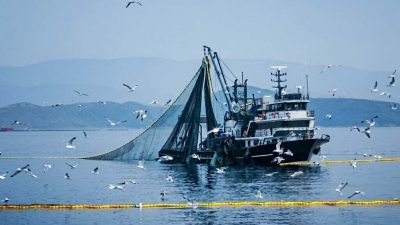 Tarım ve Orman Bakanlığı tarafından duyurulan karara göre denizlerde ve