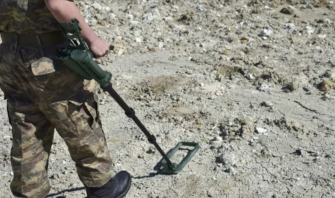 Şanlıurfa’nın Akçakale ilçesinde, Suriye sınır hattına yakın bir bölgede hayvanlarını