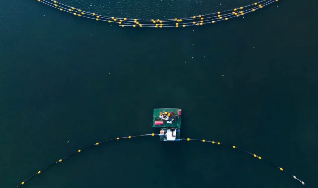 Kocaeli’nin can damarı İzmit Körfezi’nde yürütülen dip çamuru temizliği projesi