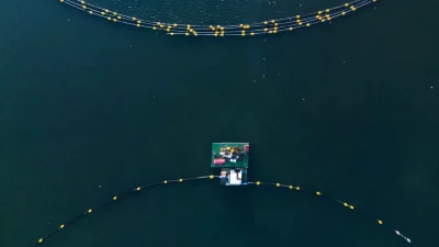 Kocaeli’nin can damarı İzmit Körfezi’nde yürütülen dip çamuru temizliği projesi