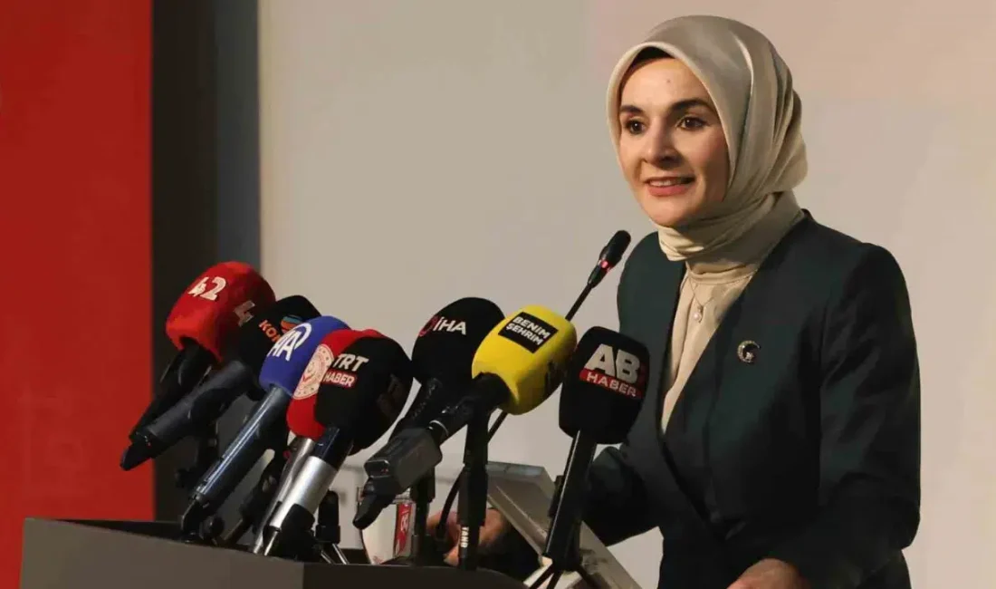 Aile ve Sosyal Hizmetler Bakanı Mahinur Özdemir Göktaş, 2 Nisan