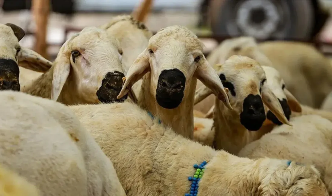 Diyanet İşleri Başkanlığı tarafından beklenen resmi açıklama yapıldı ve 2026