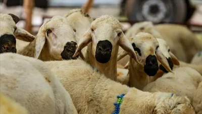 Diyanet İşleri Başkanlığı tarafından beklenen resmi açıklama yapıldı ve 2026