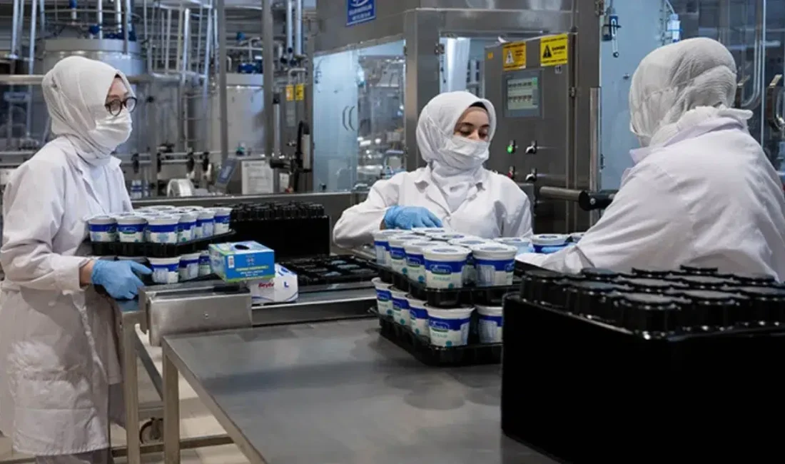 Ticaret Bakanlığı tarafından açıklanan son veriler, kadınların Türkiye ekonomisindeki ve