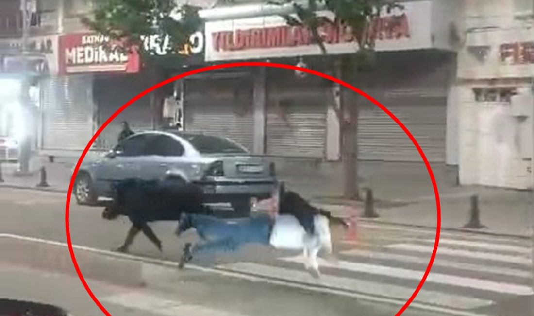 Batman’da gece saatlerinde sokaklara inen yaban domuzu dehşet saçtı. Şehrin