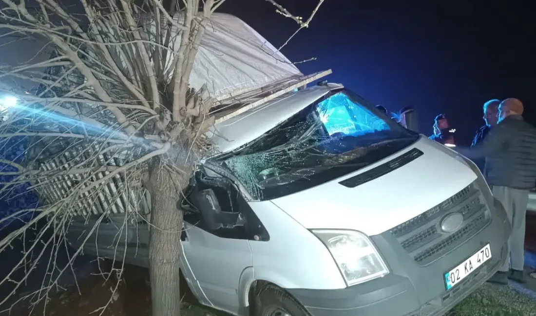 Adıyaman’da sürücüsünün direksiyon hakimiyetini kaybettiği kamyonet şarampole yuvarlanarak bir ağaca