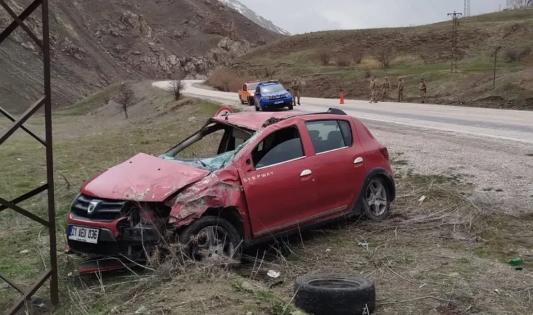 Hakkari-Van kara yolunda kontrolden çıkarak yol kenarındaki elektrik direğine çarpan
