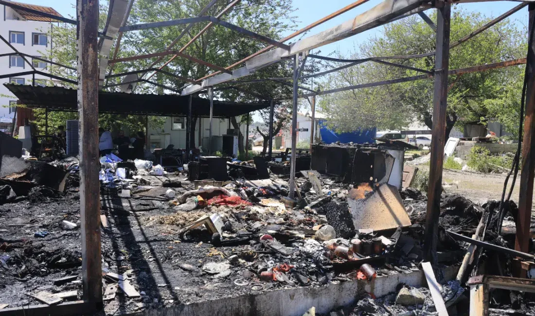 Hatay’ın Defne ilçesinde 6 Şubat depremlerinin ardından hayata tutunmaya çalışan