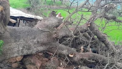 Hakkari’nin Derecik ilçesinde etkisini artıran yoğun sağanak yağışlar, bölgede beklenmedik