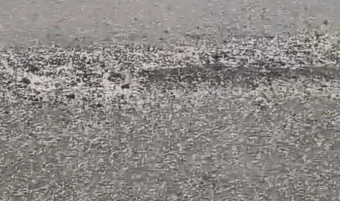 Elazığ’ın Karakoçan ilçesinde aniden bastıran ve kısa sürede her yeri