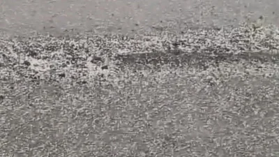 Elazığ’ın Karakoçan ilçesinde aniden bastıran ve kısa sürede her yeri