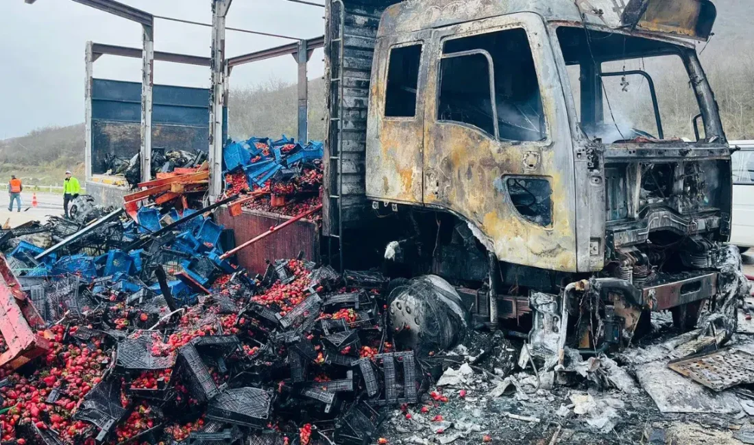 Tokat’ta seyir halindeyken lastiğinin patlaması sonucu bir anda alev topuna