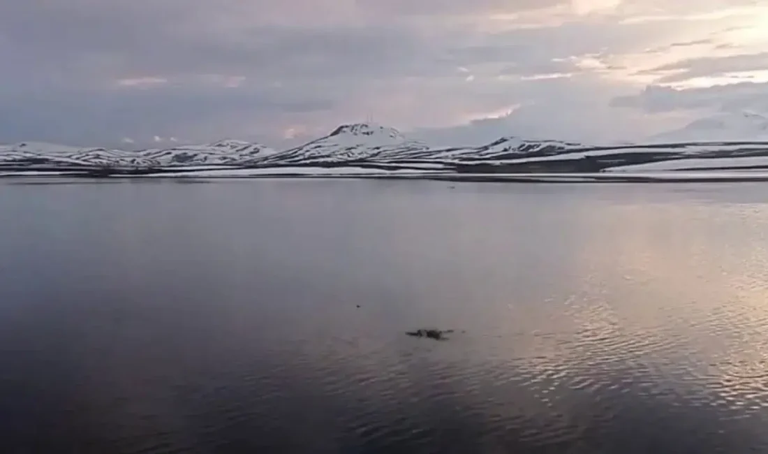 Doğu Anadolu Bölgesi’nde karların hızla erimesi ve son günlerde etkisini
