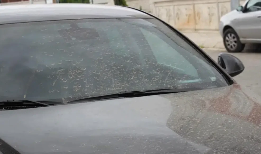 Meteoroloji Genel Müdürlüğü’nden gelen son dakika uyarısı Aydın’da yaşayan vatandaşları