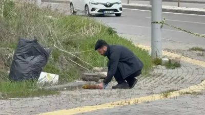 Sivas’ın Ahmet Turan Gazi Mahallesi’nde rutin temizlik çalışmaları sırasında bulunan