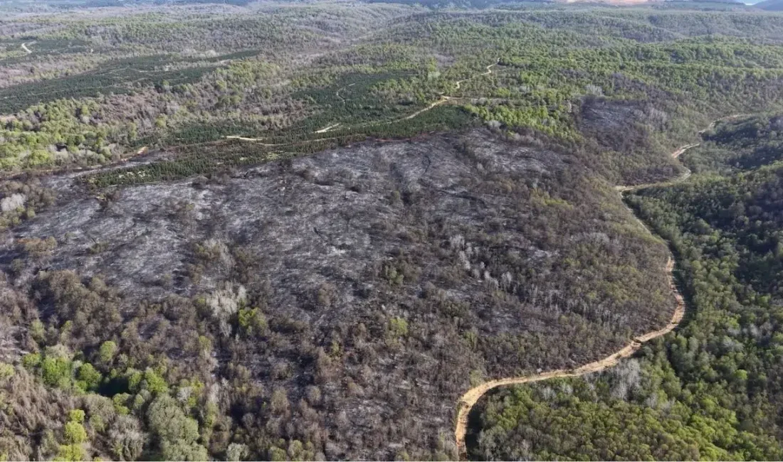 İstanbul Beykoz’da rüzgarın şiddetiyle kısa sürede yayılan ve ekiplerin 9