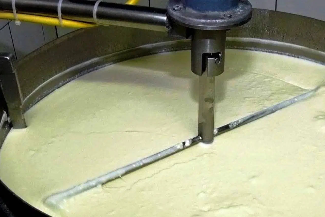 Türkiye İstatistik Kurumu tarafından paylaşılan Şubat 2026 verileri süt sektöründe