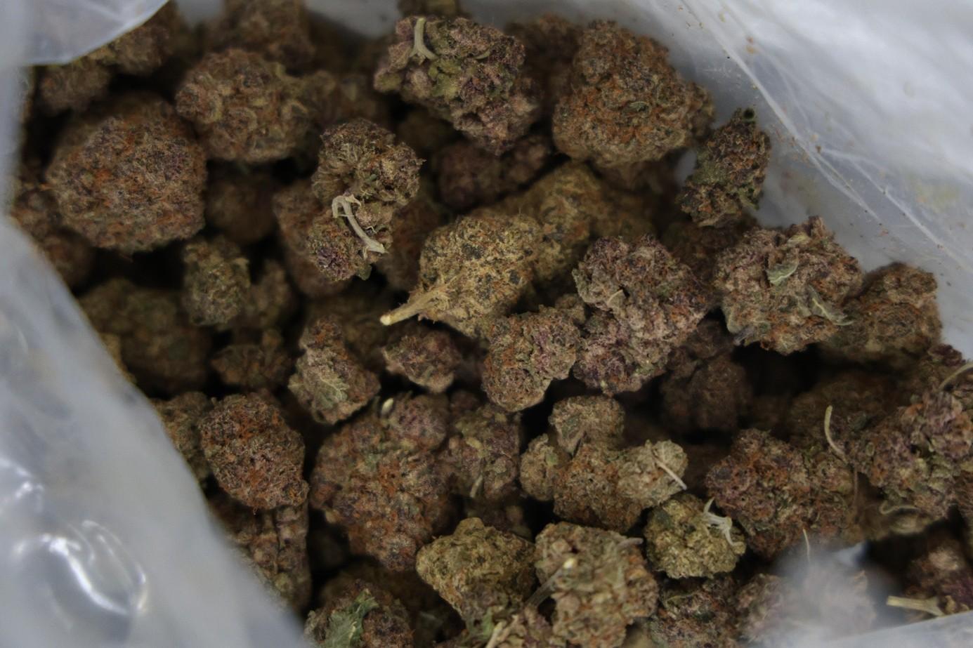 Türkiye ile Suriye'den Ortak Uyuşturucu Operasyonu