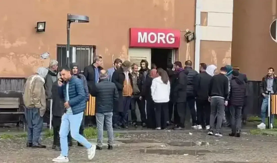 Diyarbakır’ın Ergani ilçesinde bir ilkokulun bahçesinde bulunan ağaca yıldırım isabet