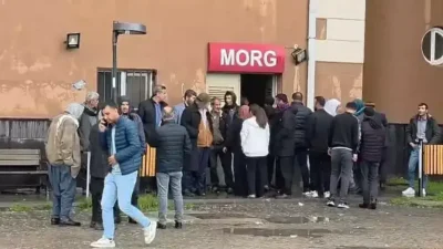 Diyarbakır’ın Ergani ilçesinde bir ilkokulun bahçesinde bulunan ağaca yıldırım isabet