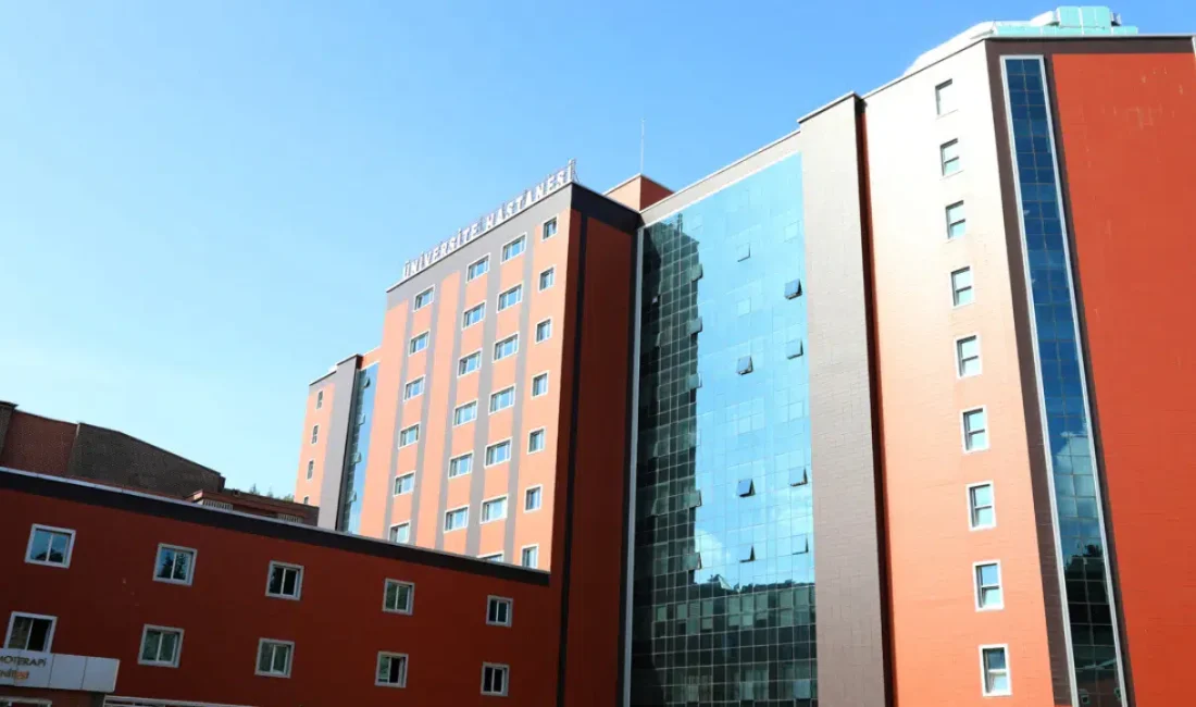 Tokat’ın Zile ilçesinde kene tutunması sonucu aniden rahatsızlanan 3 yaşındaki