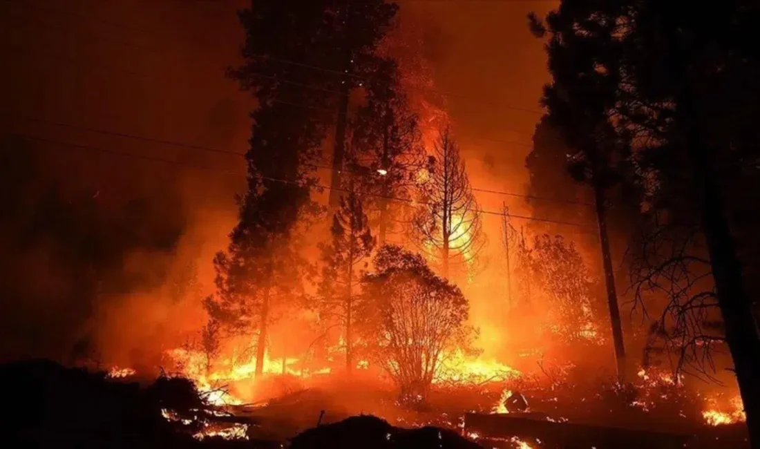 Amerika Birleşik Devletleri’nin Georgia eyaletinde kontrolden çıkan dev orman yangınları
