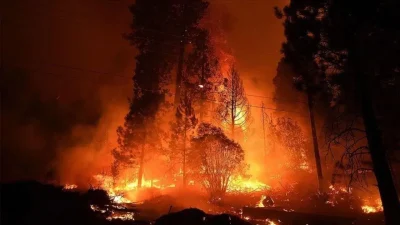 Amerika Birleşik Devletleri’nin Georgia eyaletinde kontrolden çıkan dev orman yangınları