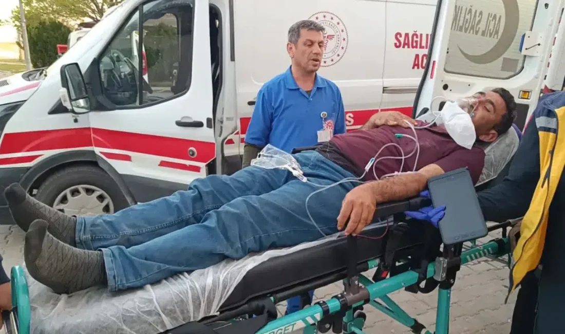 Adıyaman’ın Besni ilçesinde komşu iki aile arasında çıkan tartışma kısa