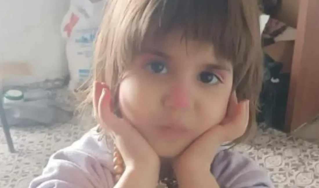 Bitlis’in Hizan ilçesinde akşam saatlerinde evinin önünde oyun oynarken bir