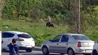 İstanbul Avcılar’da güpegündüz yaşanan korkunç olayda, bir kişinin köpeğine kemerle