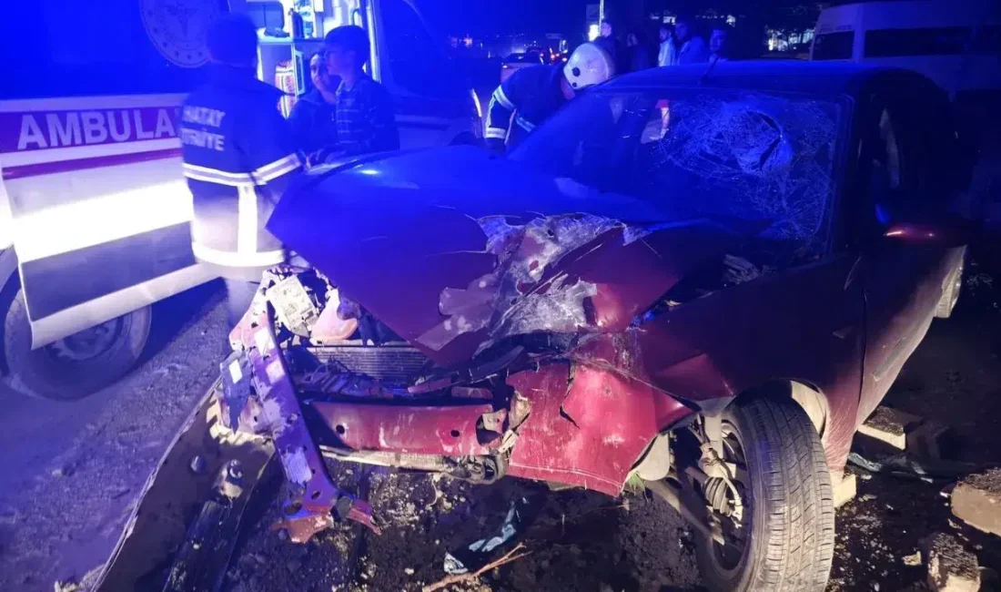 Hatay’ın Hassa ilçesinde sürücüsünün direksiyon hakimiyetini kaybetmesi sonucu yol kenarındaki