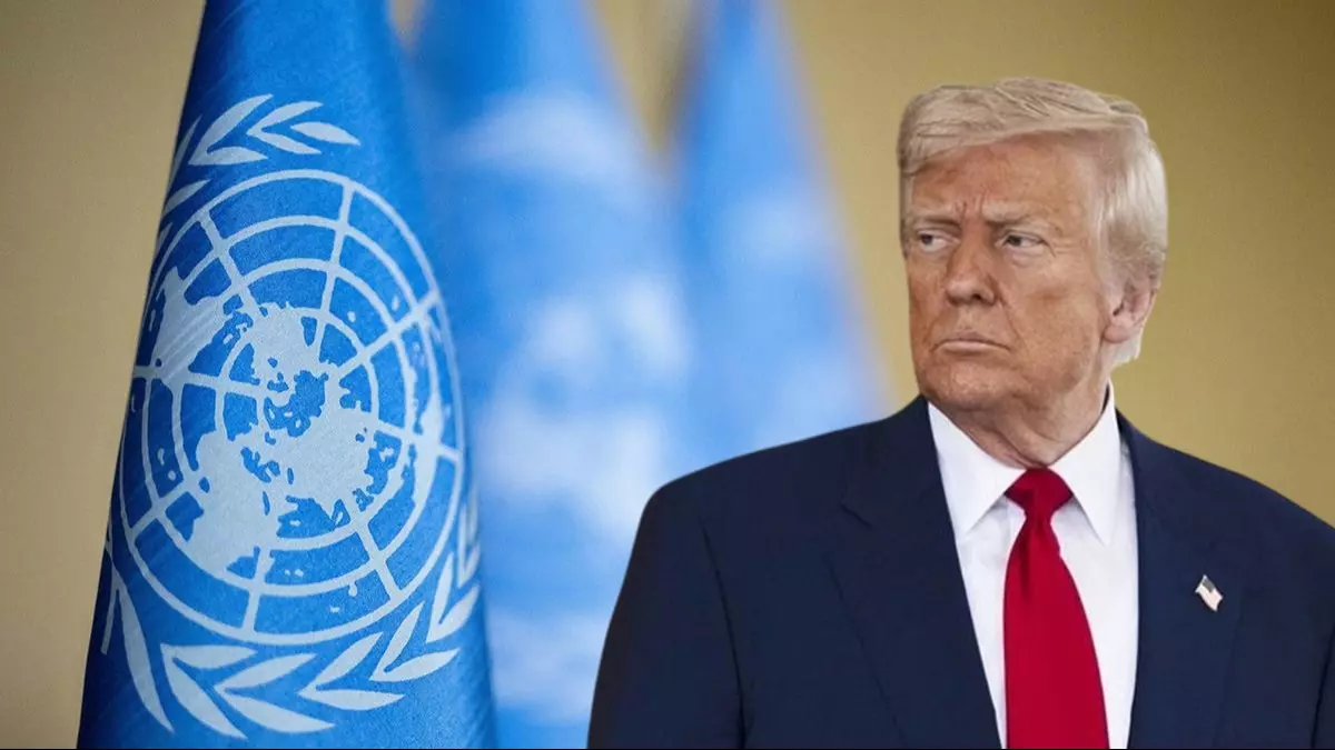 Brussels Signal: Orman kanunlarının etkin olduğu “yeni dünyayı” neler bekliyor?