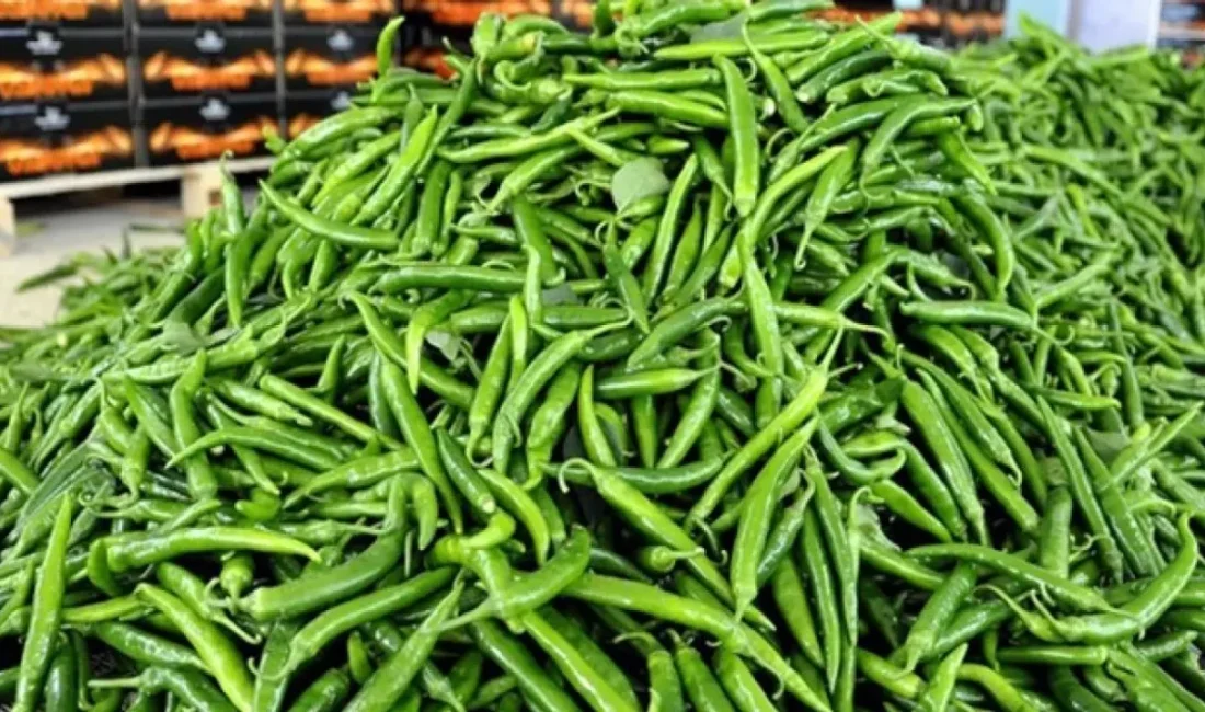 Küresel ekonomik gerilimlerin ve tırmanan lojistik maliyetlerinin gölgesinde mutfaktaki yangın