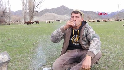 Erzurum’un Oltu ilçesinde teknoloji ile geleneksel hayvancılık şaşırtıcı bir şekilde